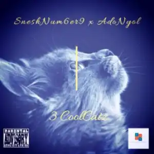 SneshNum6er9 X Adonyol - 3 CoolCatz
